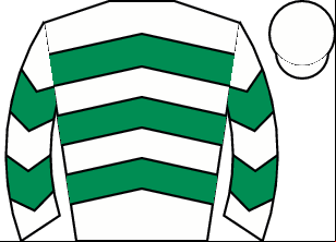 Horse silk