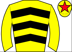 Horse silk