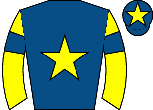 Horse silk