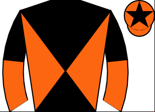 Horse silk