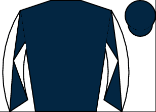 Horse silk