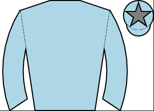 Horse silk