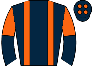 Horse silk
