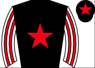 Horse silk