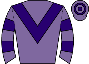 Horse silk