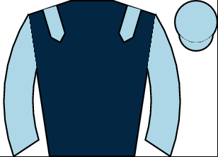 Horse silk