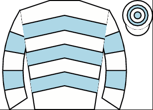Horse silk