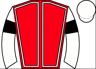 Horse silk