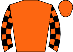 Horse silk