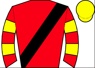 Horse silk