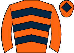 Horse silk