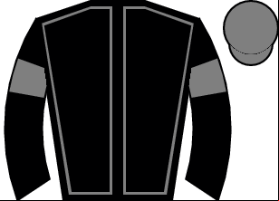 Horse silk