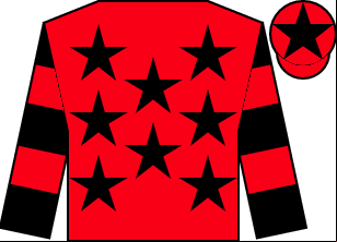 Horse silk