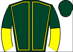 Horse silk