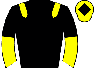 Horse silk