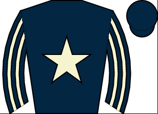 Horse silk