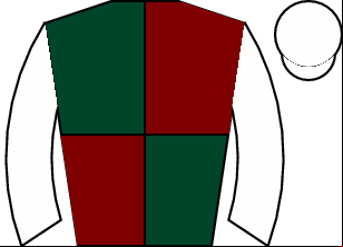 Horse silk