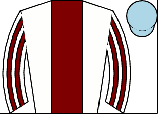 Horse silk