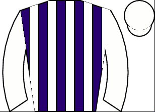 Horse silk