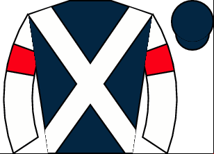 Horse silk