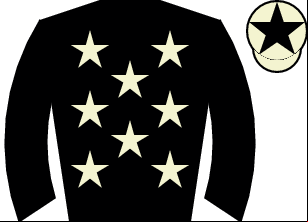 Horse silk