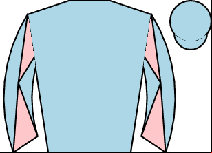Horse silk