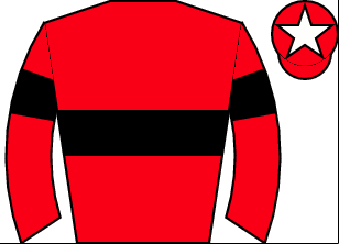 Horse silk