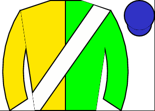 Horse silk