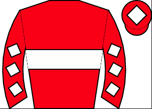 Horse silk
