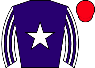 Horse silk