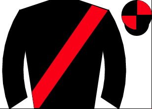 Horse silk