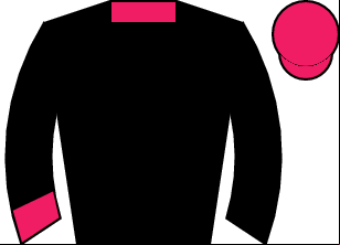 Horse silk