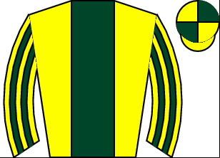 Horse silk