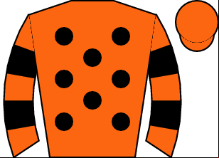 Horse silk