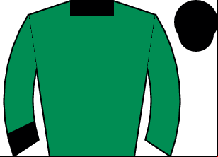 Horse silk