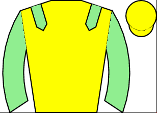 Horse silk
