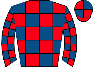 Horse silk