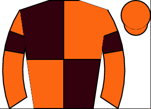 Horse silk