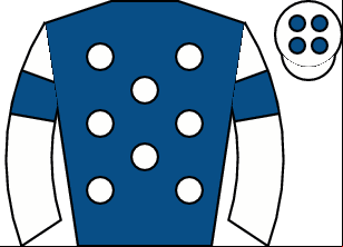 Horse silk