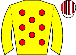 Horse silk