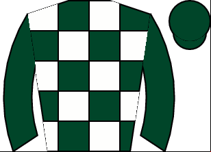 Horse silk
