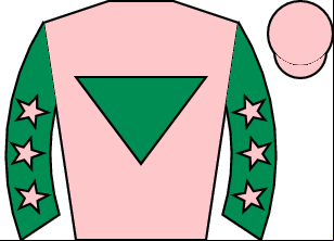 Horse silk