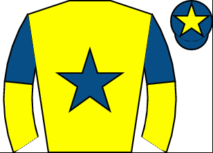 Horse silk