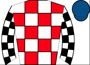 Horse silk