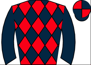 Horse silk