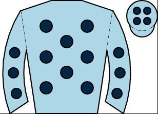 Horse silk