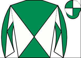 Horse silk