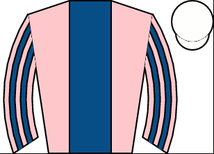Horse silk