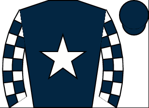 Horse silk