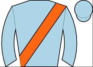 Horse silk